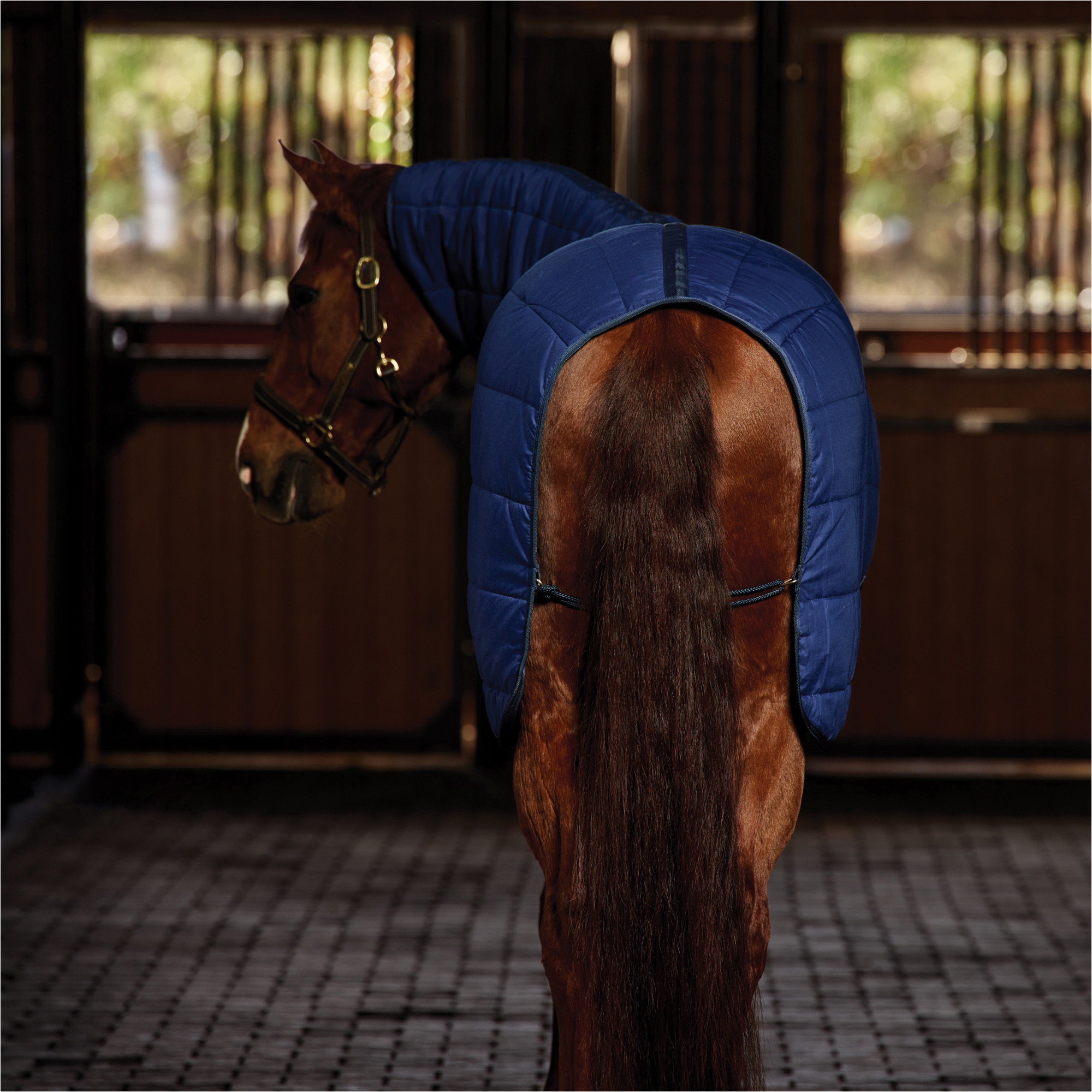 2025 WeatherBeeta Comfitec Under Rug Combo Neck 220G 1028797 - Navy